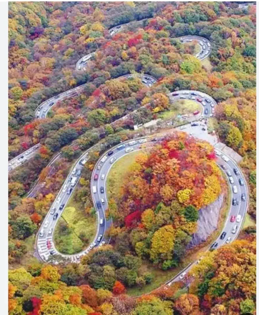 همسفر|فعالیت داوطلبانه|قم, باجک دو|دیوار