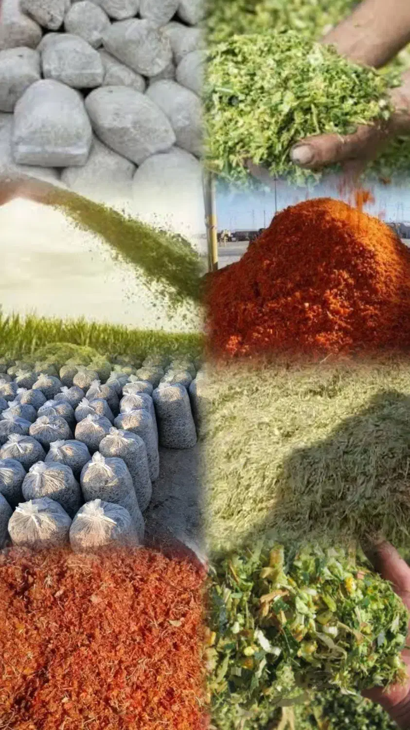 خرید و فروش نهاده های دام|حیوانات مزرعه|تهران, سعیدآباد|دیوار