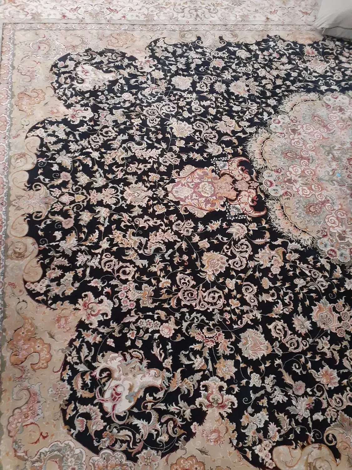 فرش ۱۲ و ۶ پاتریس|فرش|بندرعباس, |دیوار