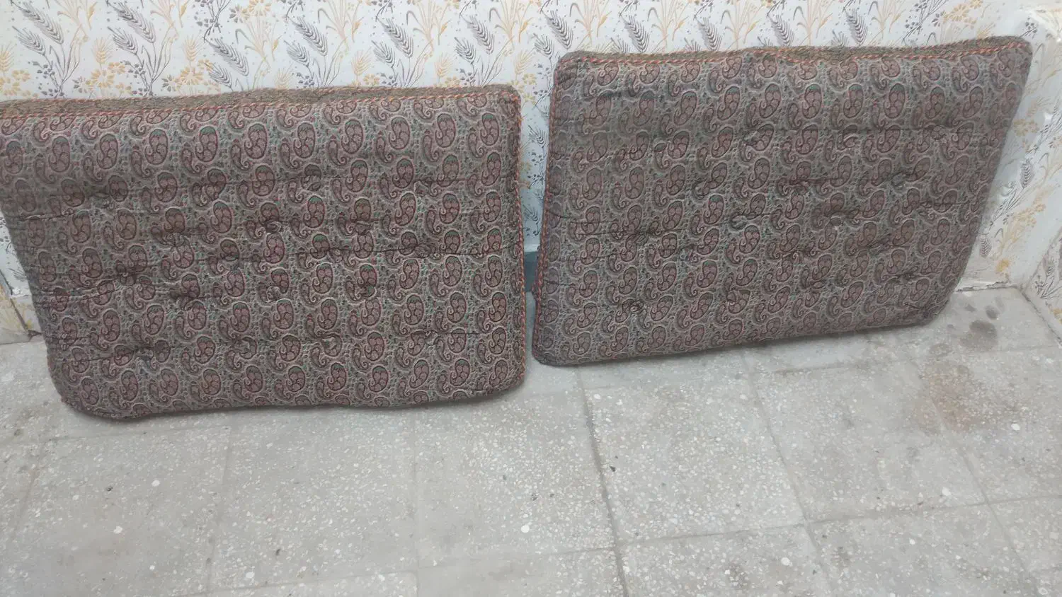 دو عدد پشتی|پشتی|یزد, |دیوار