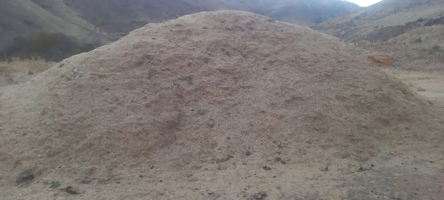 کاه سال گذشته|عمده‌فروشی|سنقر, |دیوار