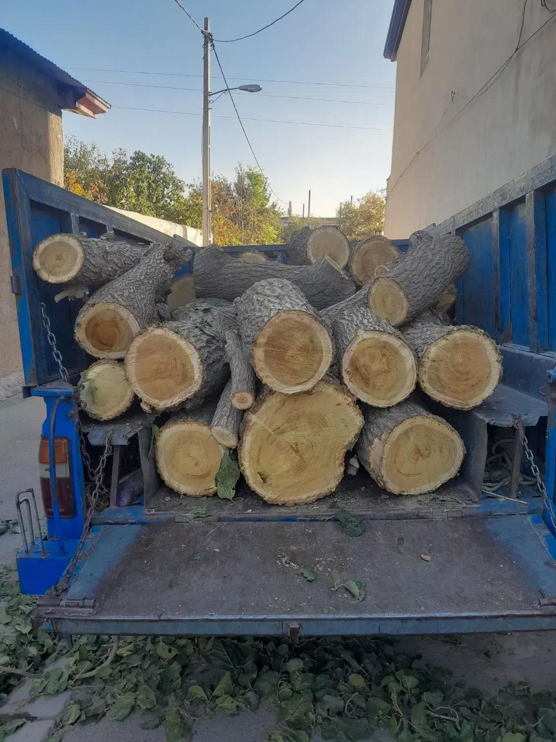 خریدار انواع چوب هیزمی زغالی ریشه درخت|خدمات باغبانی و درختکاری|آبیک, |دیوار