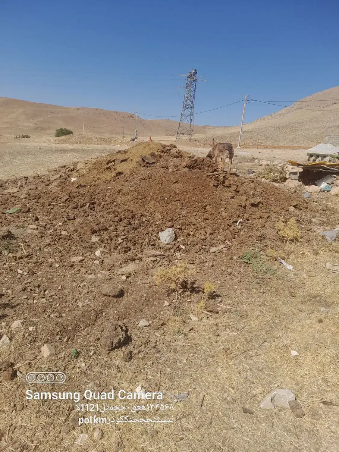 کود حیوانی گاوی|لوازم جانبی حیوانات|کاکاوند, |دیوار