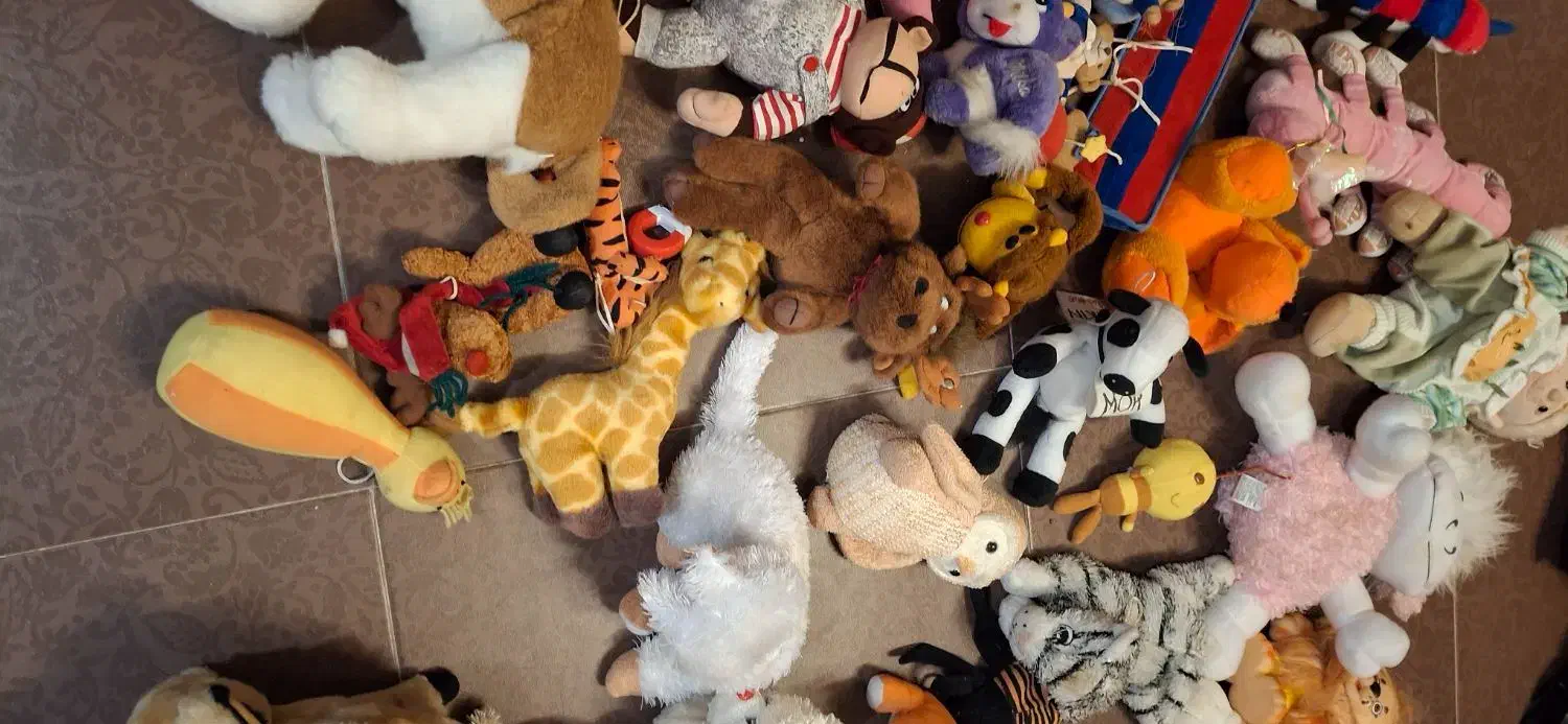 عروسک|اسباببازی|کرمان, |دیوار