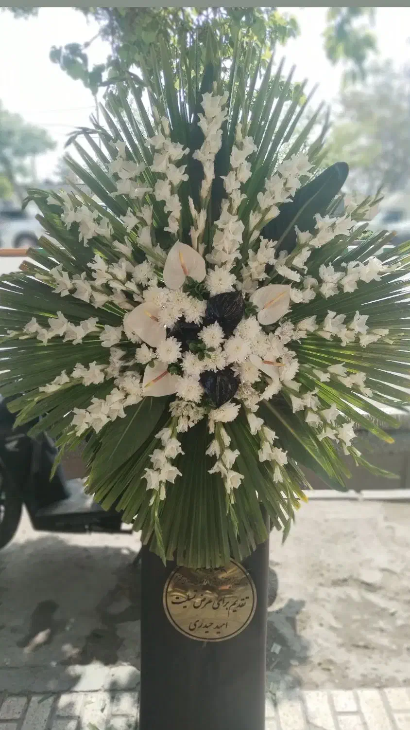 تاج گل|حراج|مشهد, سمزقند|دیوار