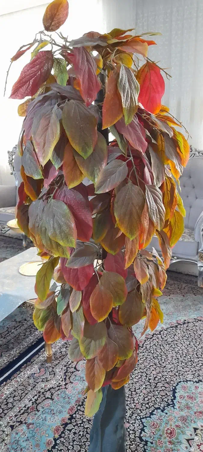 درخت گل|گل مصنوعی|مشهد, حسین‌آباد|دیوار