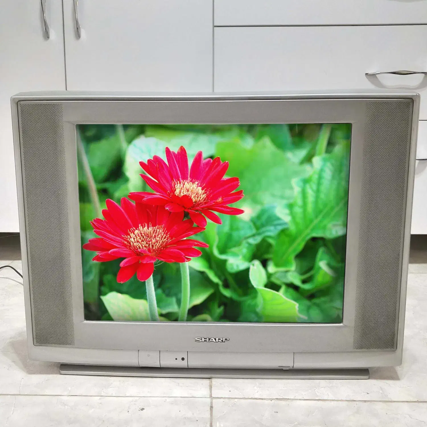 تلویزیون 21 اینچ|تلویزیون و پروژکتور|شیراز, سیلو|دیوار