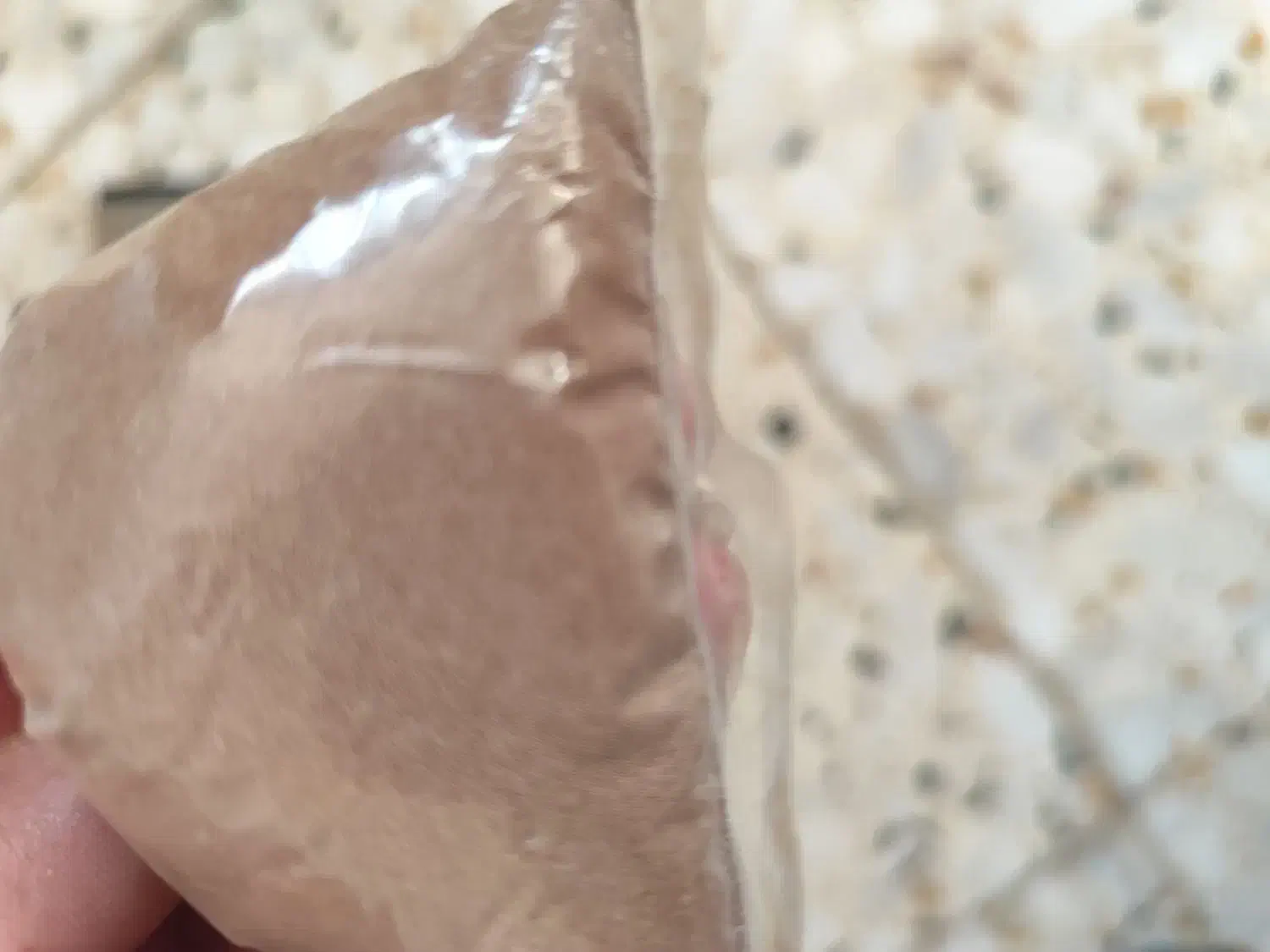 سیست ارتمیا|ماهی|اصفهان, سرتاوه|دیوار