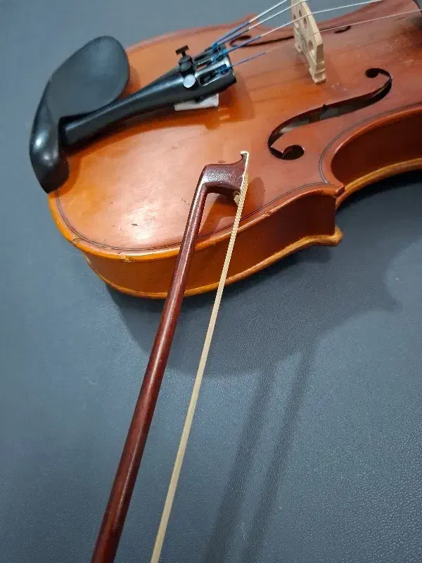 ویالون|ویولن|قم, بلوار امین و ساحلی|دیوار