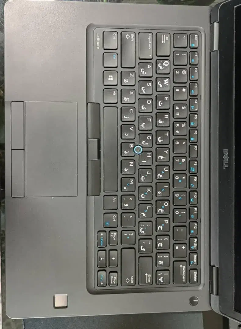 لب تاب  دل|رایانه همراه|اسفراین, |دیوار