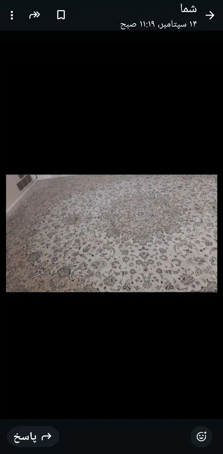 دوتا فرش ماشینی  ۹متری و ۱۲ متری|فرش|نوشهر, |دیوار