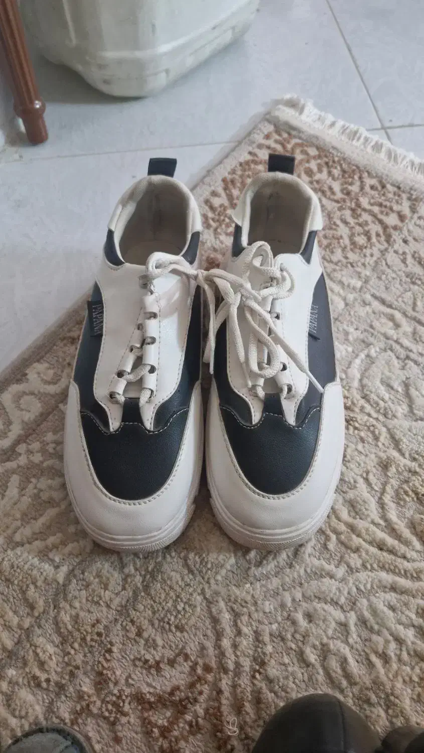 کفش|کیف، کفش، کمربند|بیرجند, |دیوار