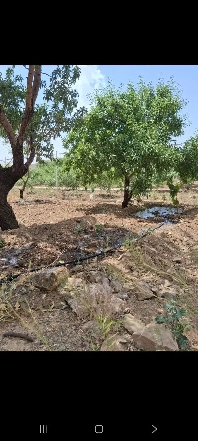فروش ۲۷۰۰متر باغ زیر قیمت استثنایی|فروش زمین و ملک کلنگی|اصفهان, شاهزاده ابراهیم|دیوار