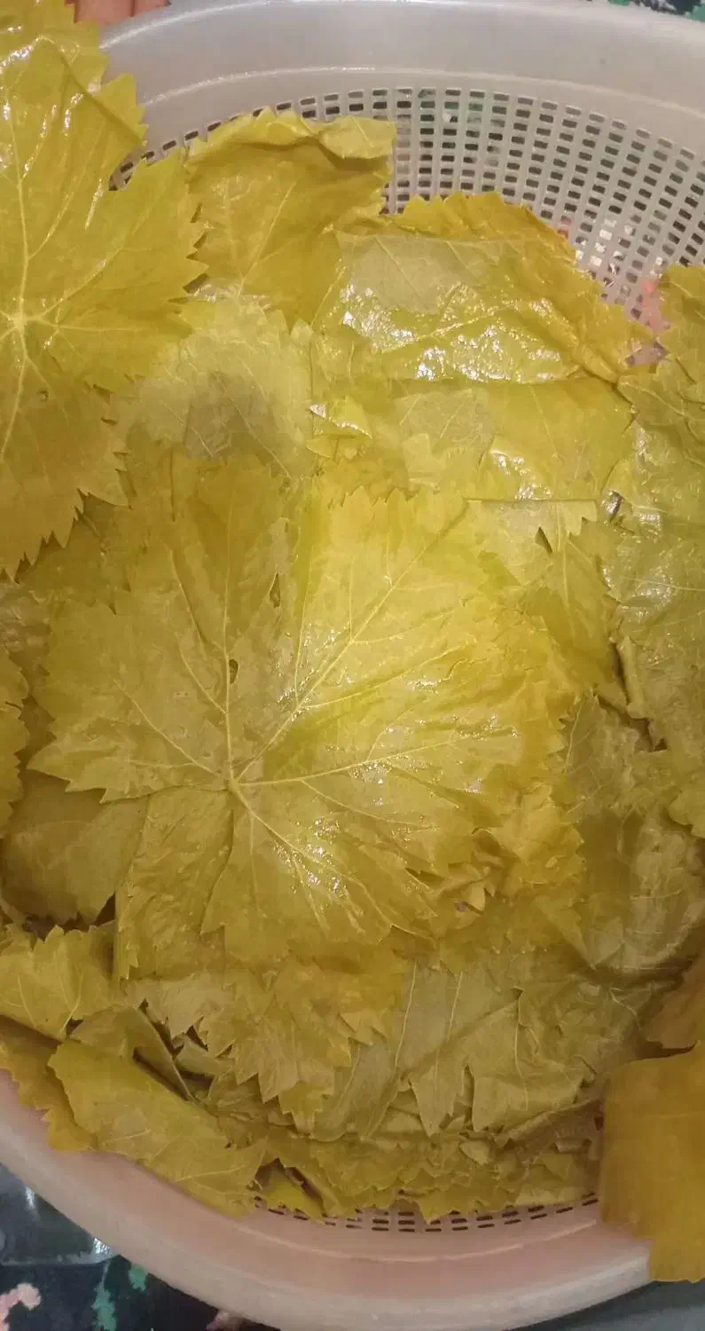 برگ دلمه|گل و گیاه طبیعی|آشخانه, |دیوار