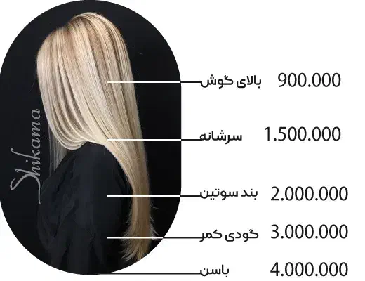 پروتئین مو|خدمات آرایشگری و زیبایی|شیراز, گویم|دیوار