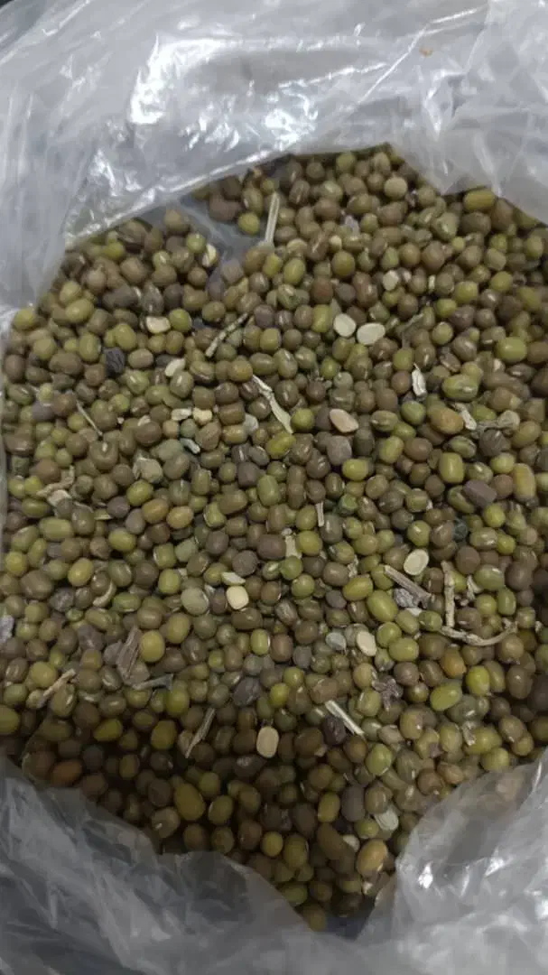 فروش انواع بذر یونجه پیاز باقله نخود فرنگی غصب|خدمات باغبانی و درختکاری|داراب, |دیوار