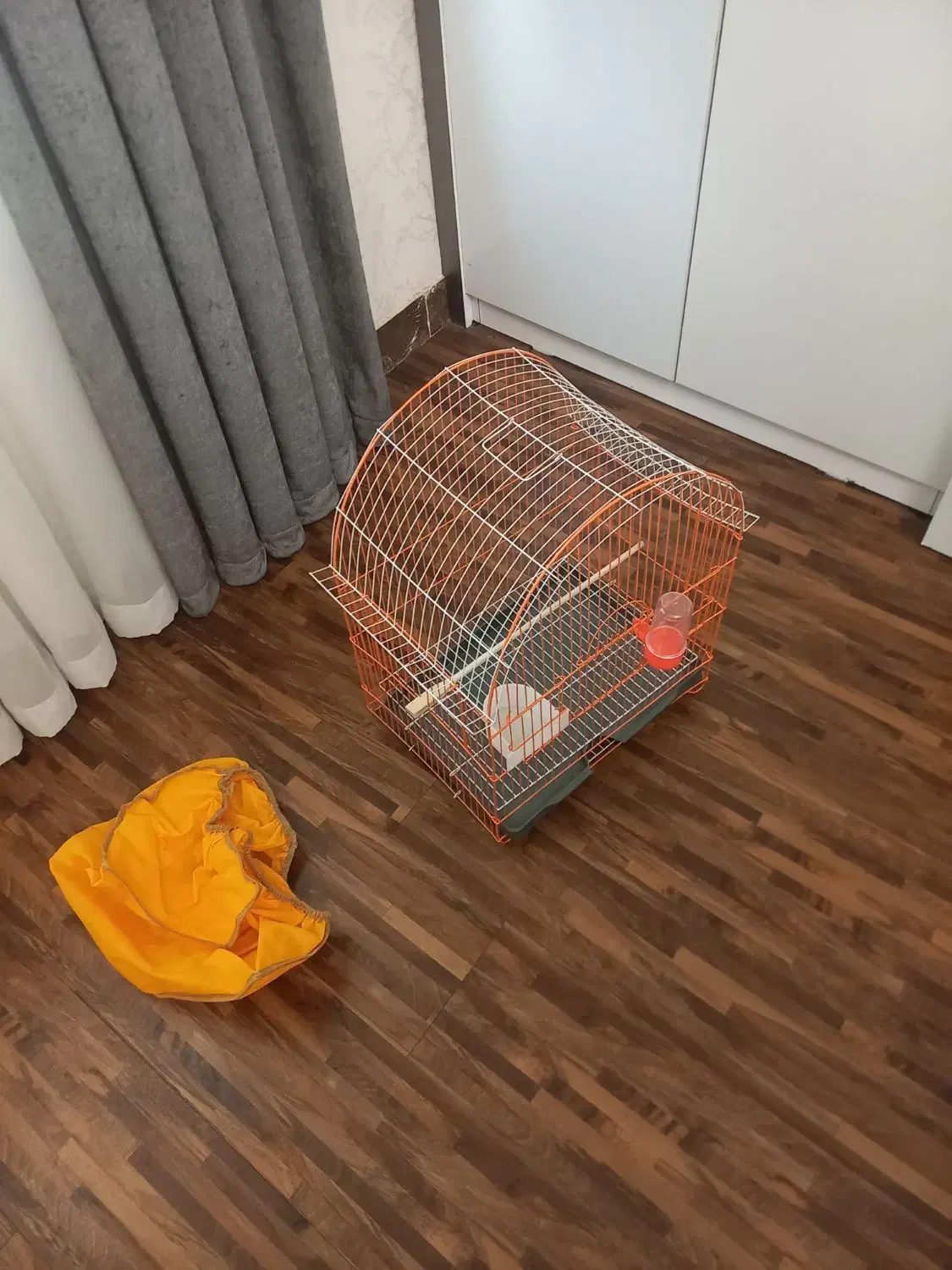 قفس پرنده|لوازم جانبی حیوانات|رشت, دروازه لاکان|دیوار