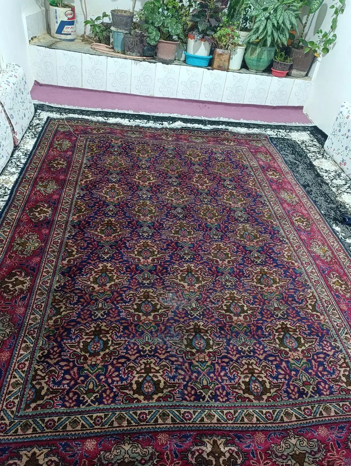 قالی ترنج|فرش|سنندج, |دیوار