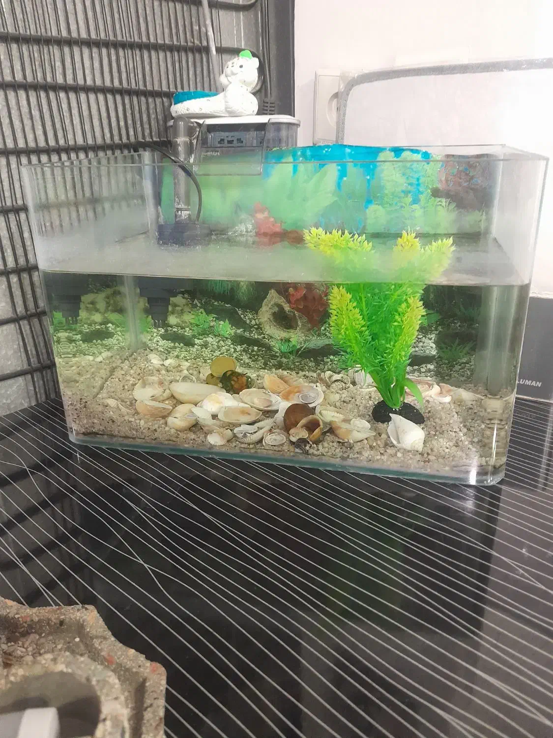 آکواریوم زیبا با پمپ آبشاری کامل|ماهی|ابریشم, |دیوار