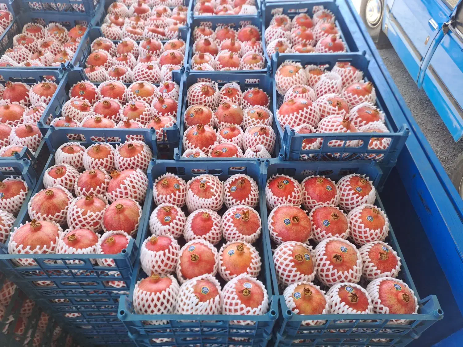 انار رباب|خوردنی و آشامیدنی|طسوج, |دیوار