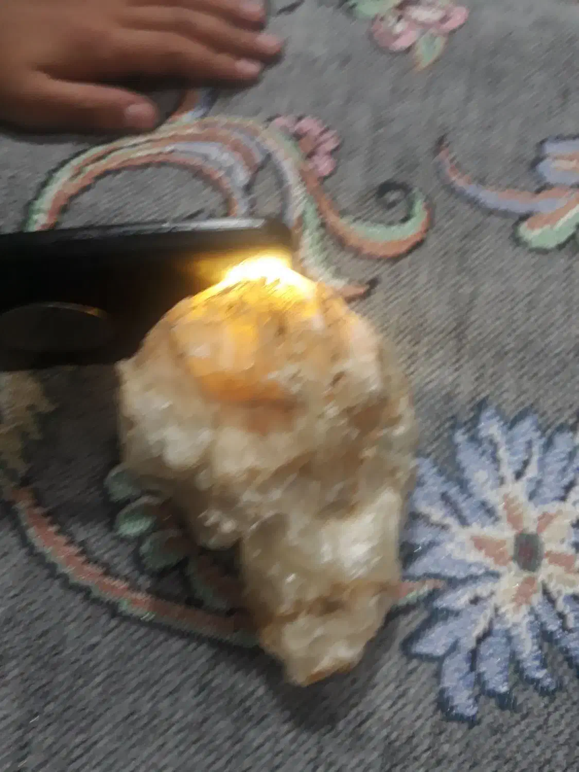 سنگ قیمتی|جواهرات|شهریار, شهریار|دیوار