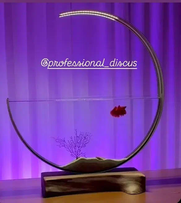 فروشگاه اکواریوم ولوازم وماهی زینتی پروفشنال دیسکس|ماهی|اصفهان, باغ فدک|دیوار