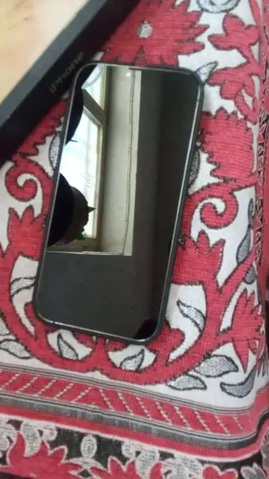 گوشی ایفون13پرومکس|موبایل|شیراز, تندگویان|دیوار