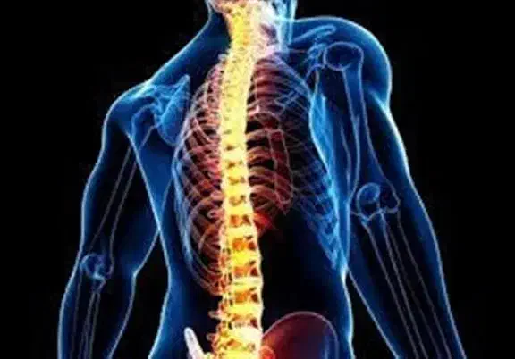 مرحم گیاهی برای گرفتگی کانال نخاع ودیسک کمر ومفاصل|آرایشی، بهداشتی، درمانی|رفسنجان, |دیوار