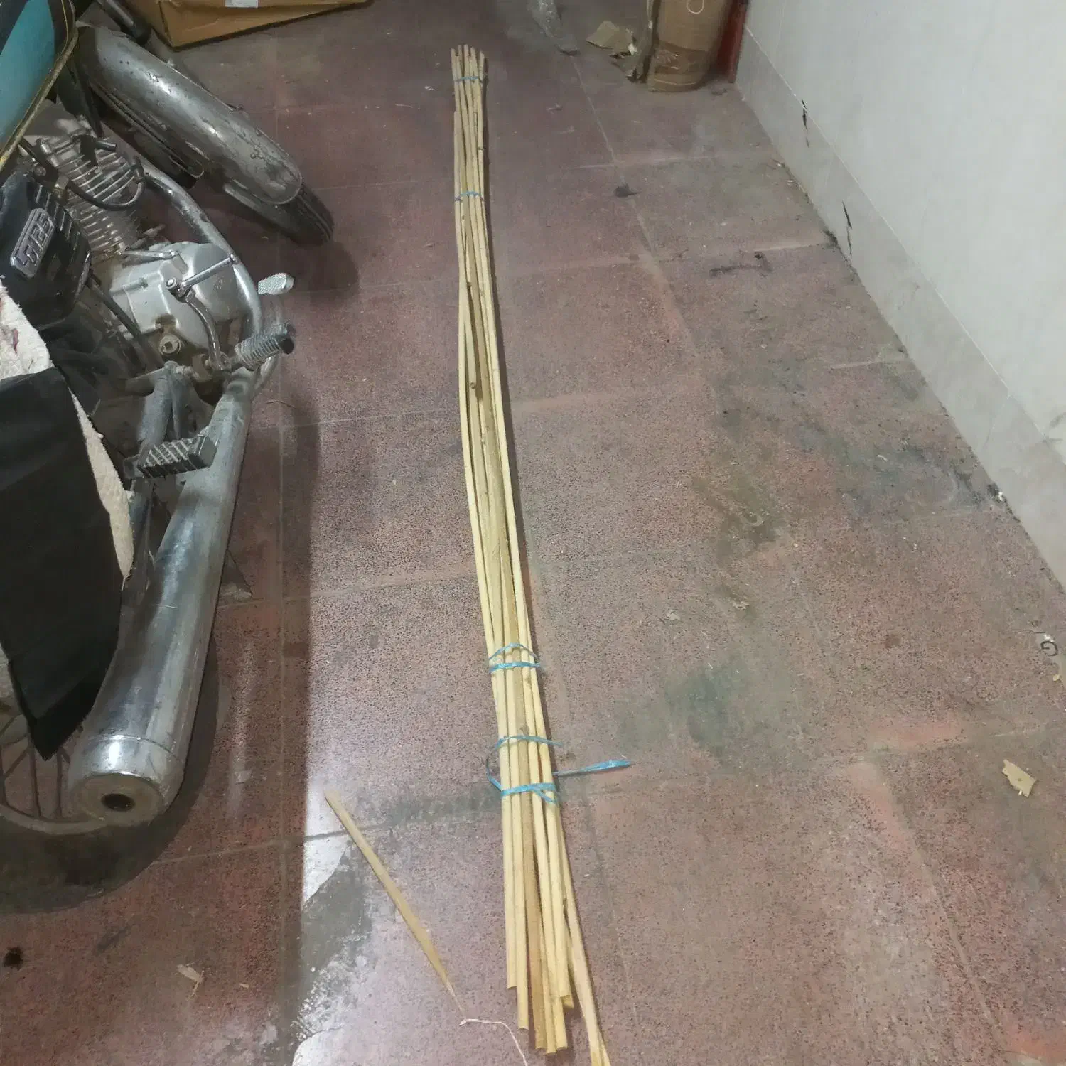 چوب فنج|لوازم جانبی حیوانات|قم, باغ شریفی|دیوار