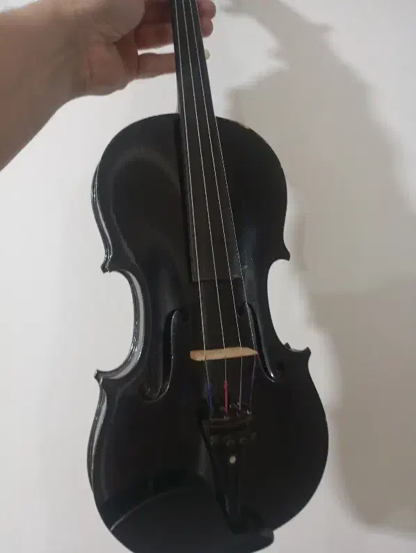 ویالون|ویولن|شوشتر, |دیوار