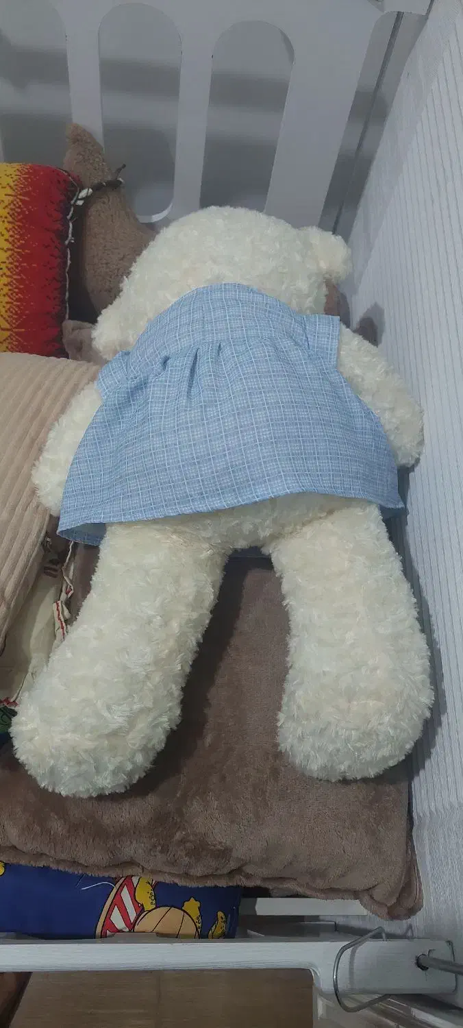 عروسک نونو|اسباببازی بچه|قم, شهر قائم|دیوار