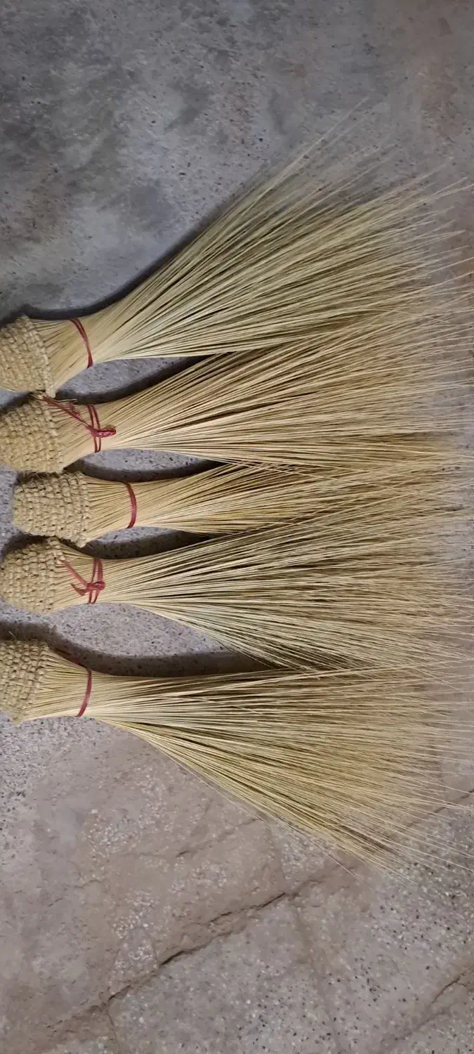 جارو|جاروبرقی، جارو شارژی، بخارشو|هامون, |دیوار