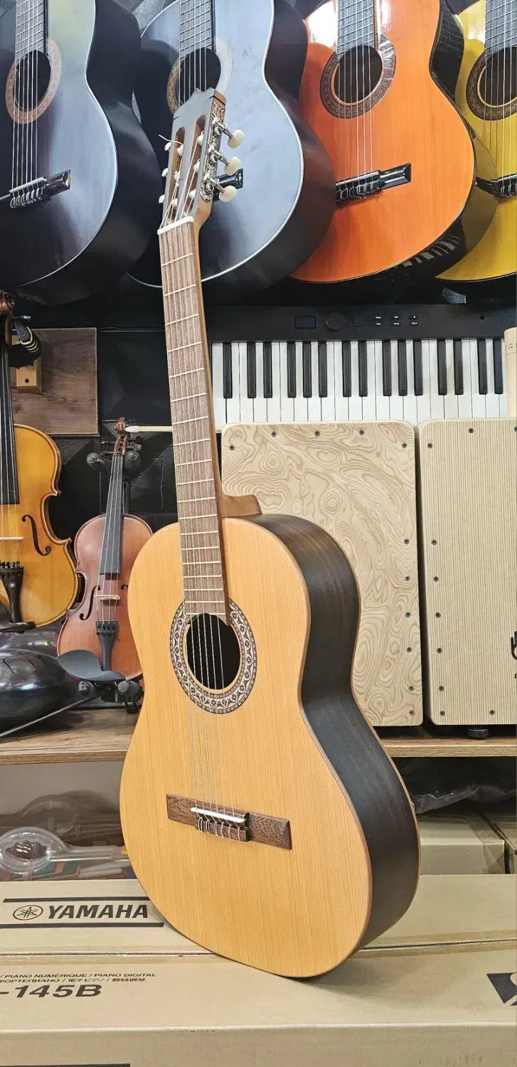 گیتار پارسی|گیتار، بیس، امپلیفایر|محمدیه-قزوین, |دیوار