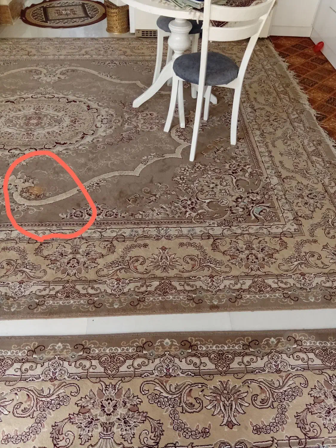 فرش گردویی 12متری دوعددباهم|فرش|تربتحیدریه, حسنی بالا|دیوار