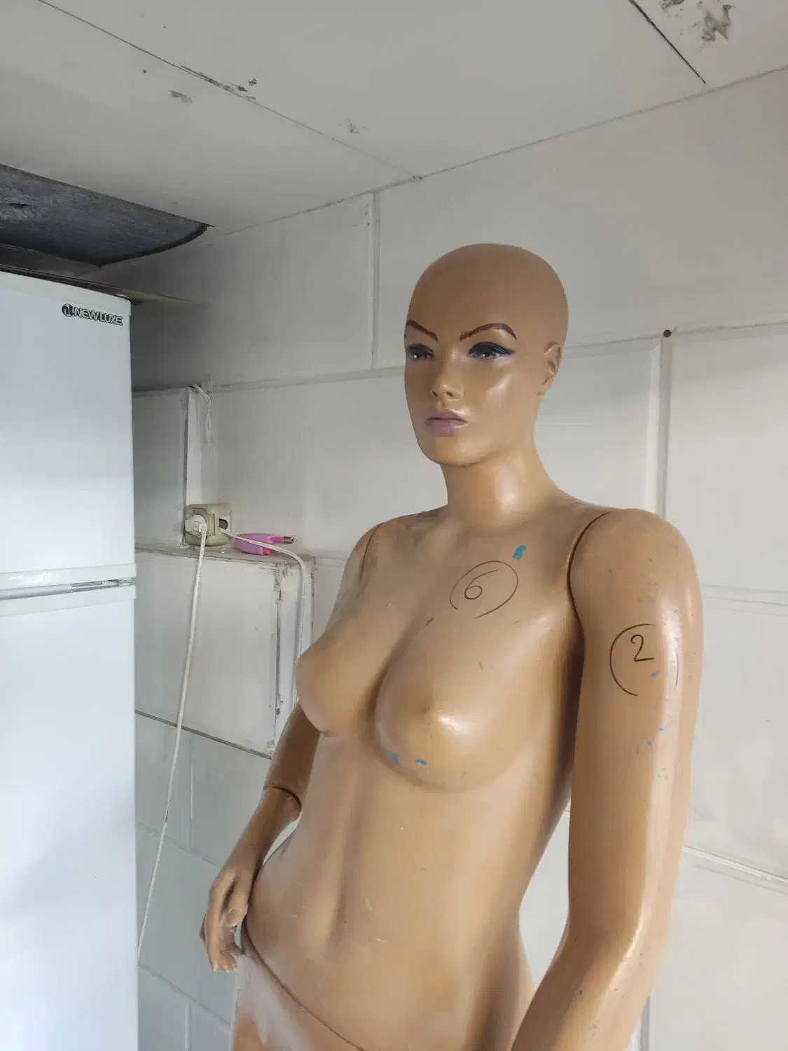 مانکن زنانه تمام تنه|فروشگاه و مغازه|روانسر, |دیوار