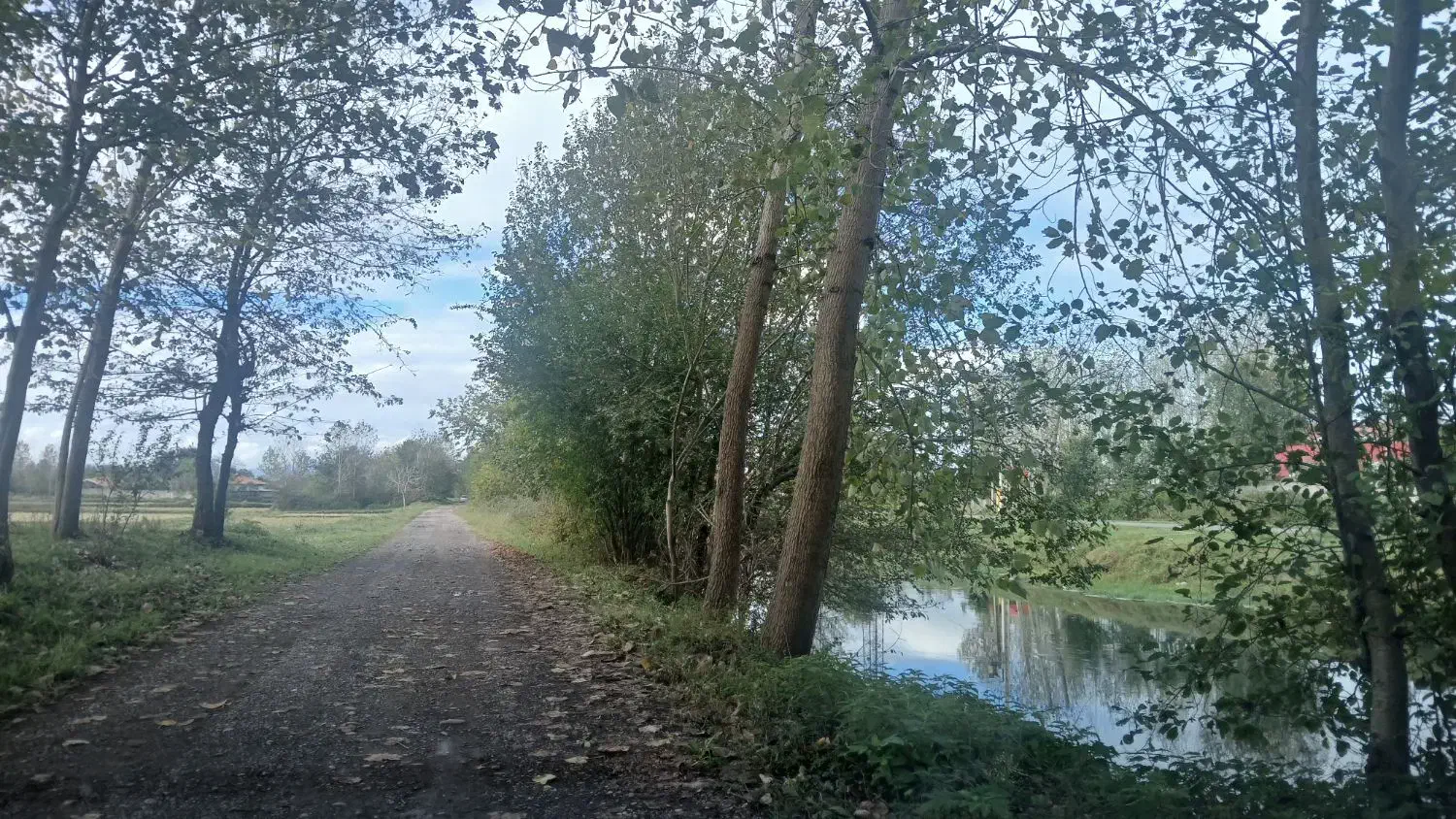 ۱هکتار شالیزارسنددار بررودخانه سنگررشت|فروش زمین و ملک کلنگی|سنگر, |دیوار