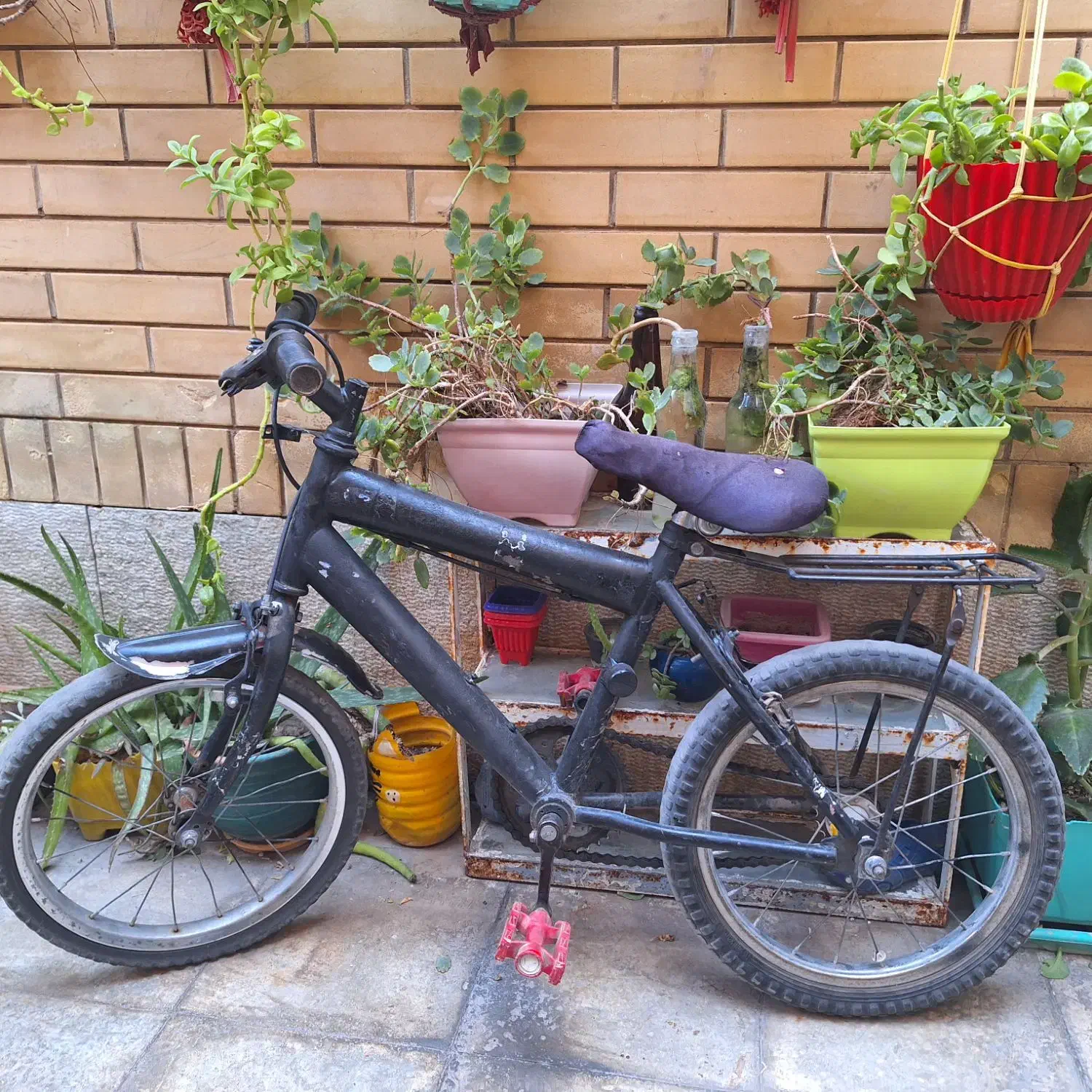 دوچرخه وسه چرخه|دوچرخه، اسکیت، اسکوتر|شیراز, کوشک میدان|دیوار