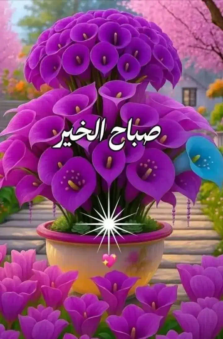 مقداری پول پیداشده|اشیا|آبادان, |دیوار