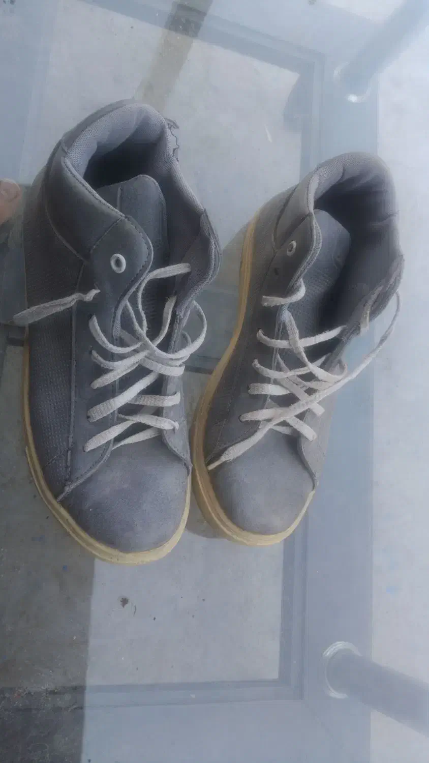 کفش|کیف، کفش، کمربند|میاندوآب, |دیوار