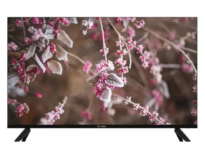 تلویزیون اسنوا ۵۵ اینچ 4K|تلویزیون و پروژکتور|کرمانشاه, |دیوار