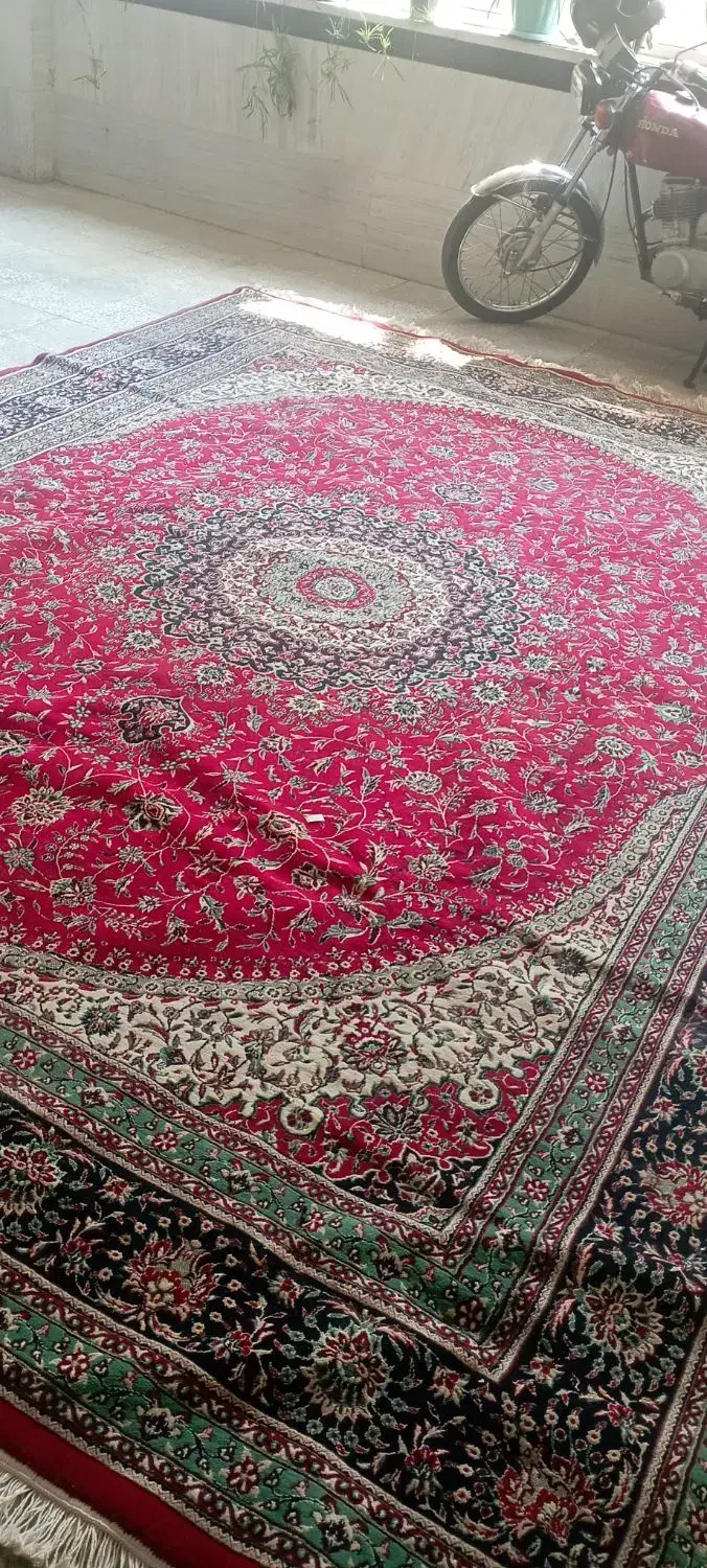 فرش ۱۲متری|فرش|اراک, |دیوار