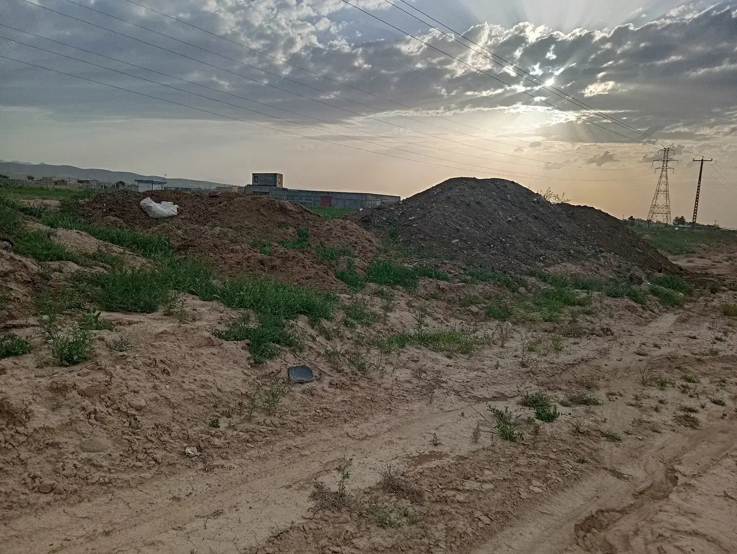 با گوسفندی وگاوی ومرغی|خدمات باغبانی و درختکاری|قوچان, |دیوار