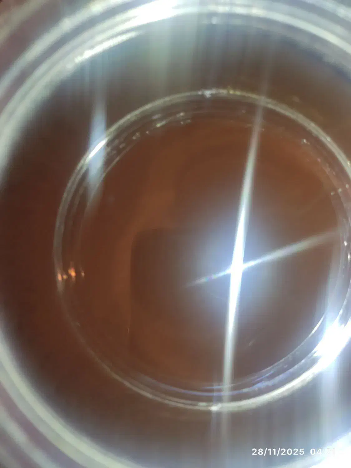 رب انار کویر روستاهای زواره با اب قنات|خوردنی و آشامیدنی|زواره, |دیوار