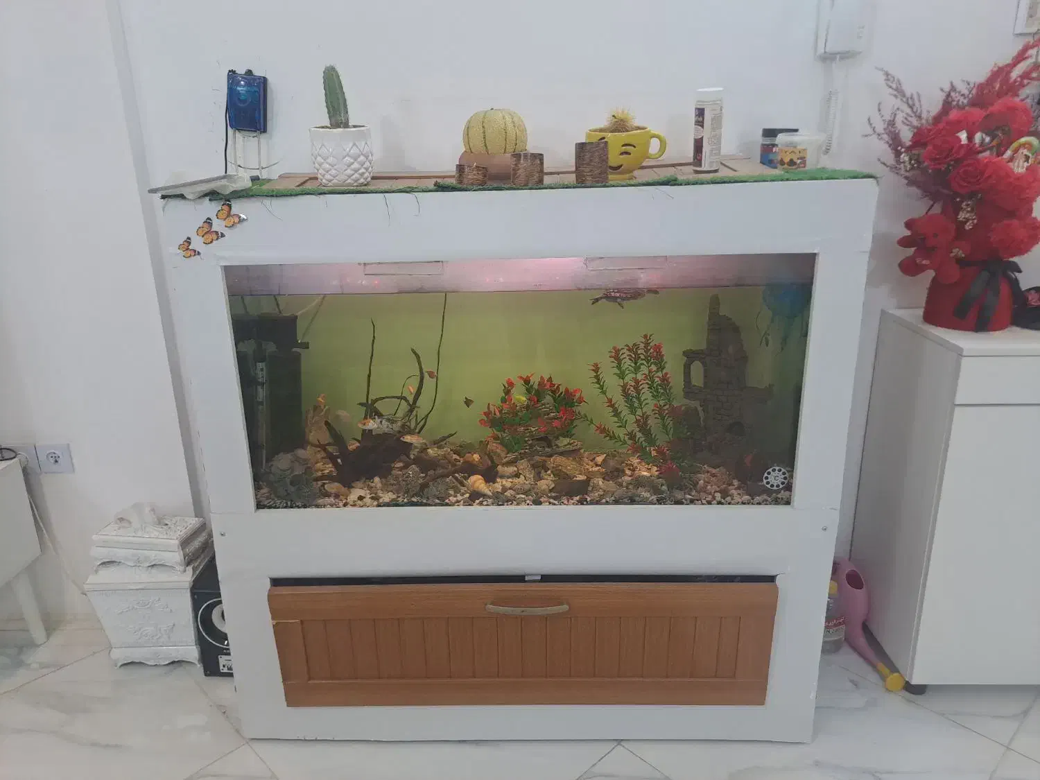 اکواریم یک متر و بیست سانتی متر است|ماهی|مشهد, طبرسی شمالی|دیوار