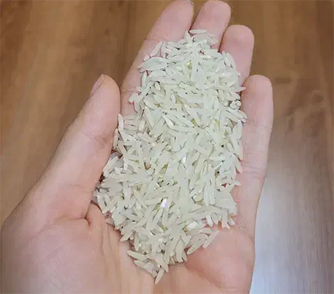 برنج فجر|خوردنی و آشامیدنی|سرپل ذهاب, |دیوار