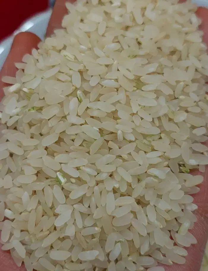 برنج کامفیروزی اصل|خوردنی و آشامیدنی|شیراز, شهرک فرزانگان|دیوار