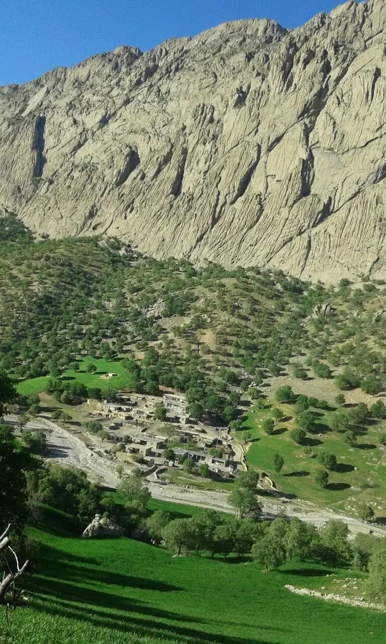 انبار و مغازه|اجارهٔ مغازه و غرفه|یاسوج, |دیوار