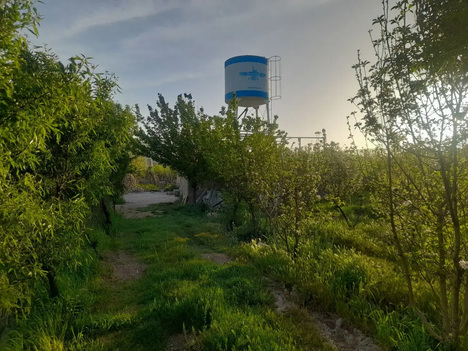 تصویر 2