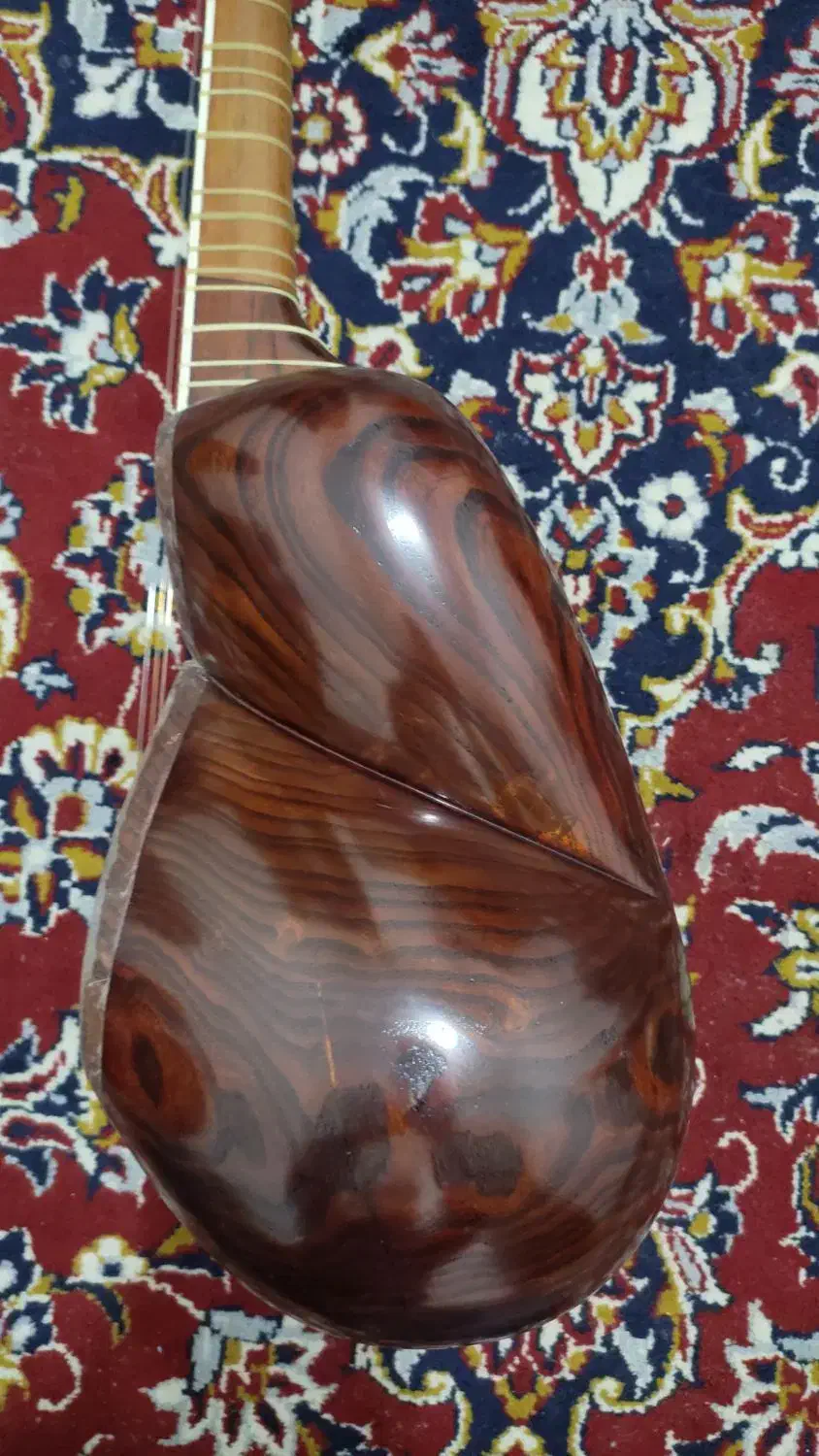 تار|سازهای سنتی|شیراز, پارک آزادی|دیوار