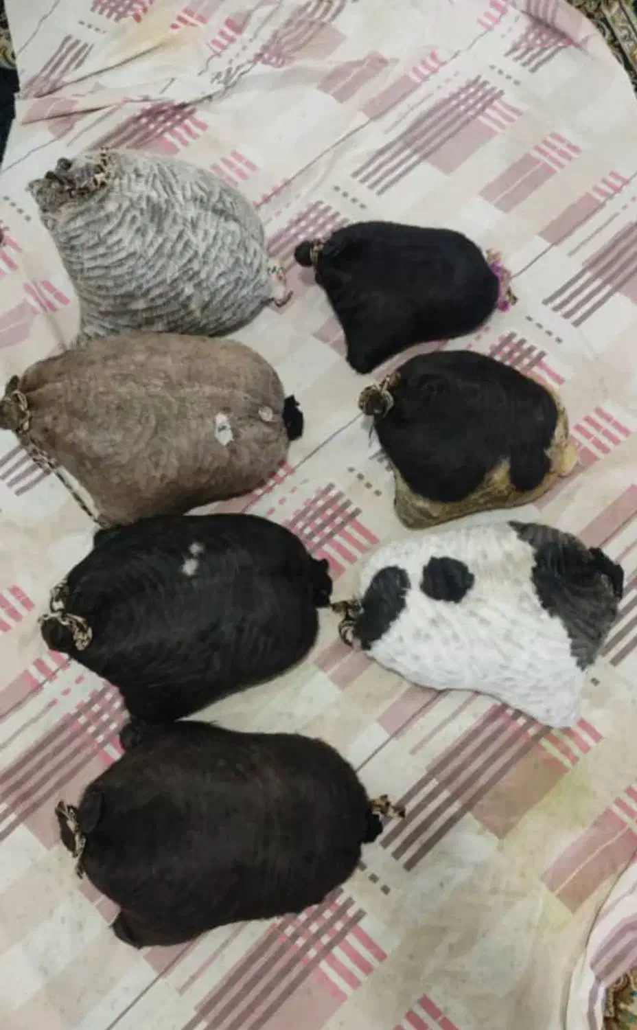 خیگ آماده روغن|ظروف نگهدارنده، پلاستیکی، یک‌بارمصرف|دهدشت, |دیوار